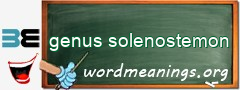 WordMeaning blackboard for genus solenostemon